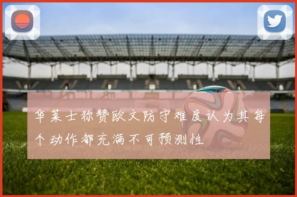 华莱士称赞欧文防守难度认为其每个动作都充满不可预测性